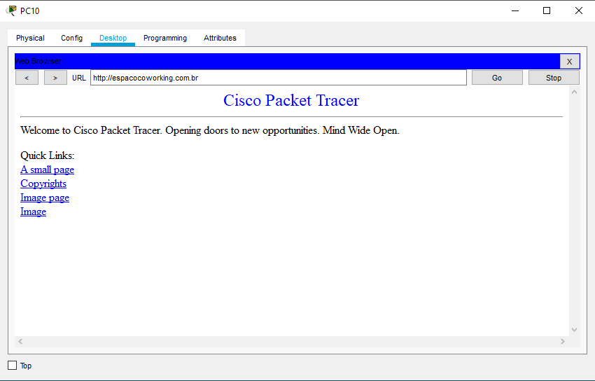 A imagem ilustra uma captura de tela  do Packet Tracer, de teste do site via DNS.